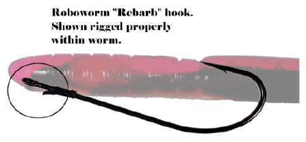 Mike Folkestad Bass Fishing Blog: Bass fishing tips; Drop shot basics