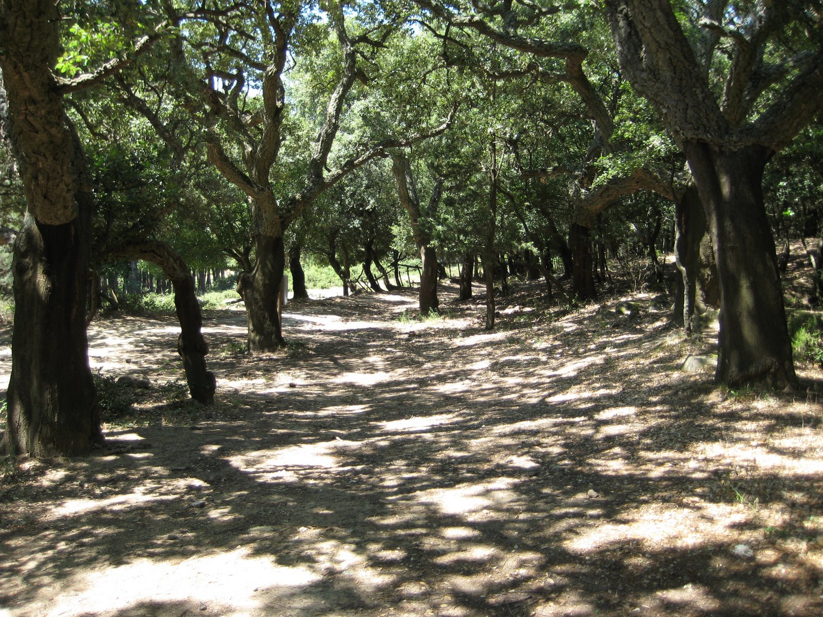 [IMG_0549.JPG]