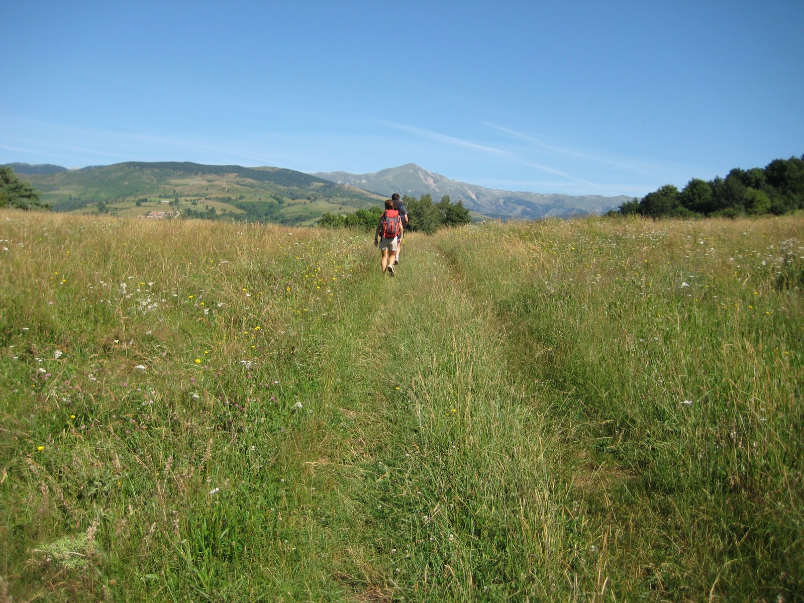 [IMG_0644.JPG]