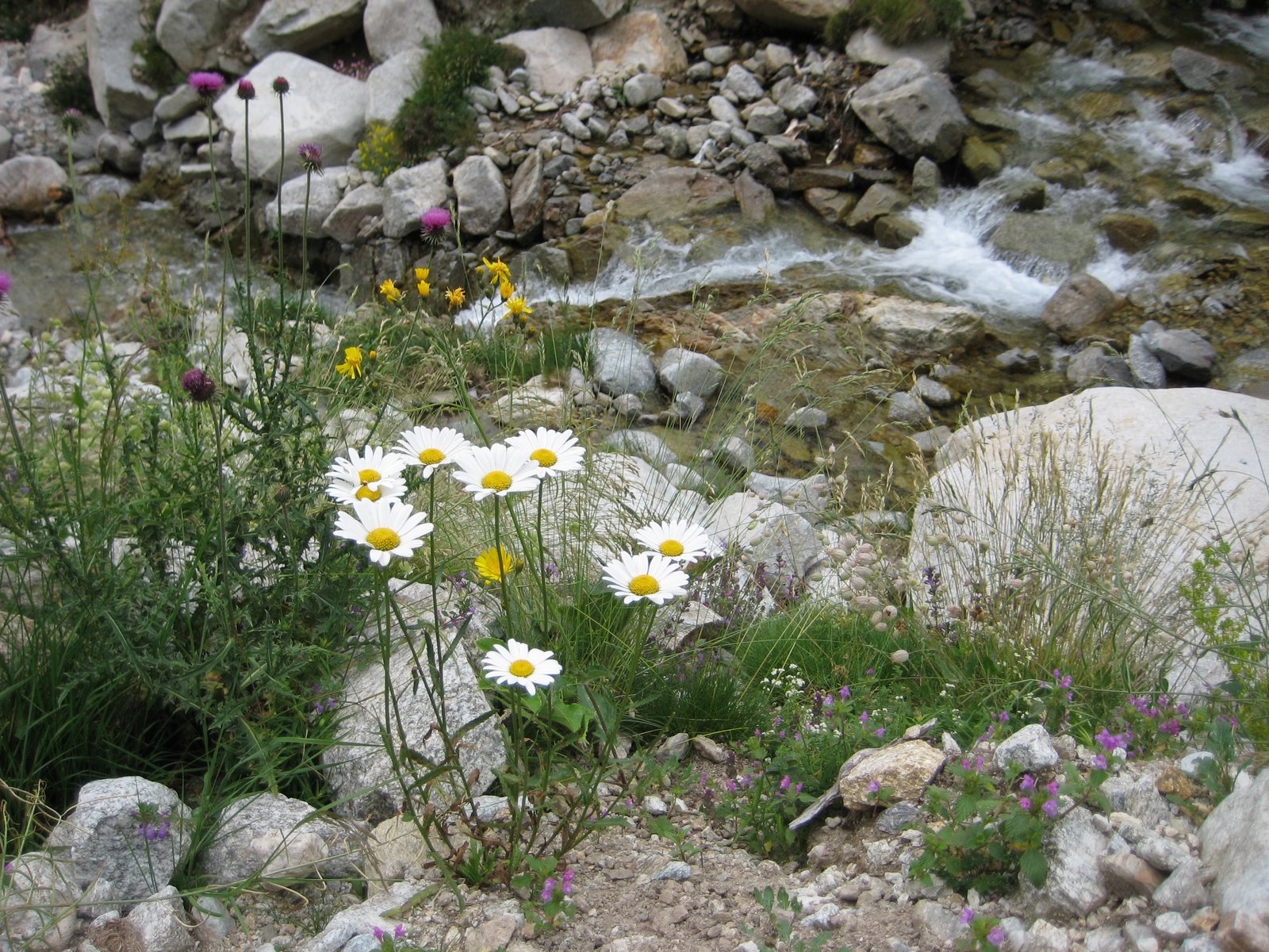 [IMG_0657.JPG]