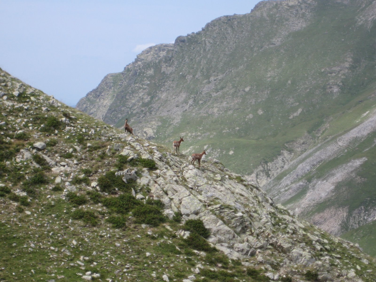 [IMG_0669.JPG]