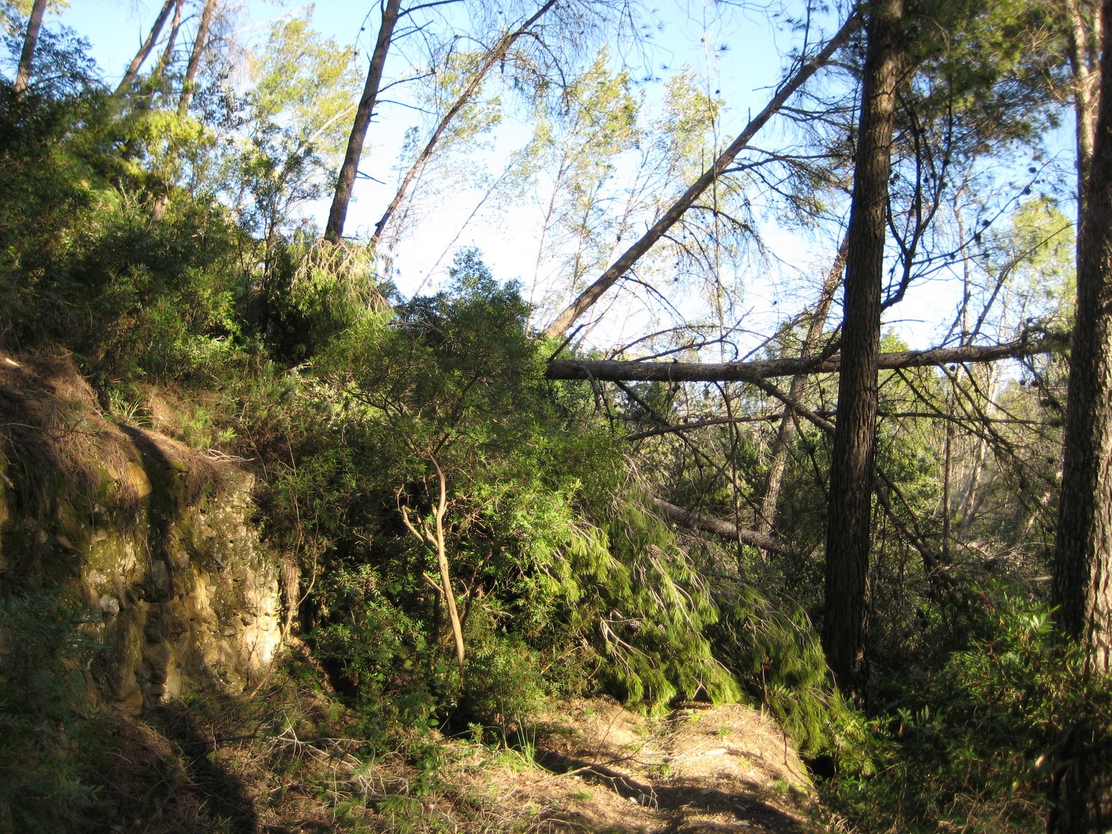 [2009_01_25+006.jpg]