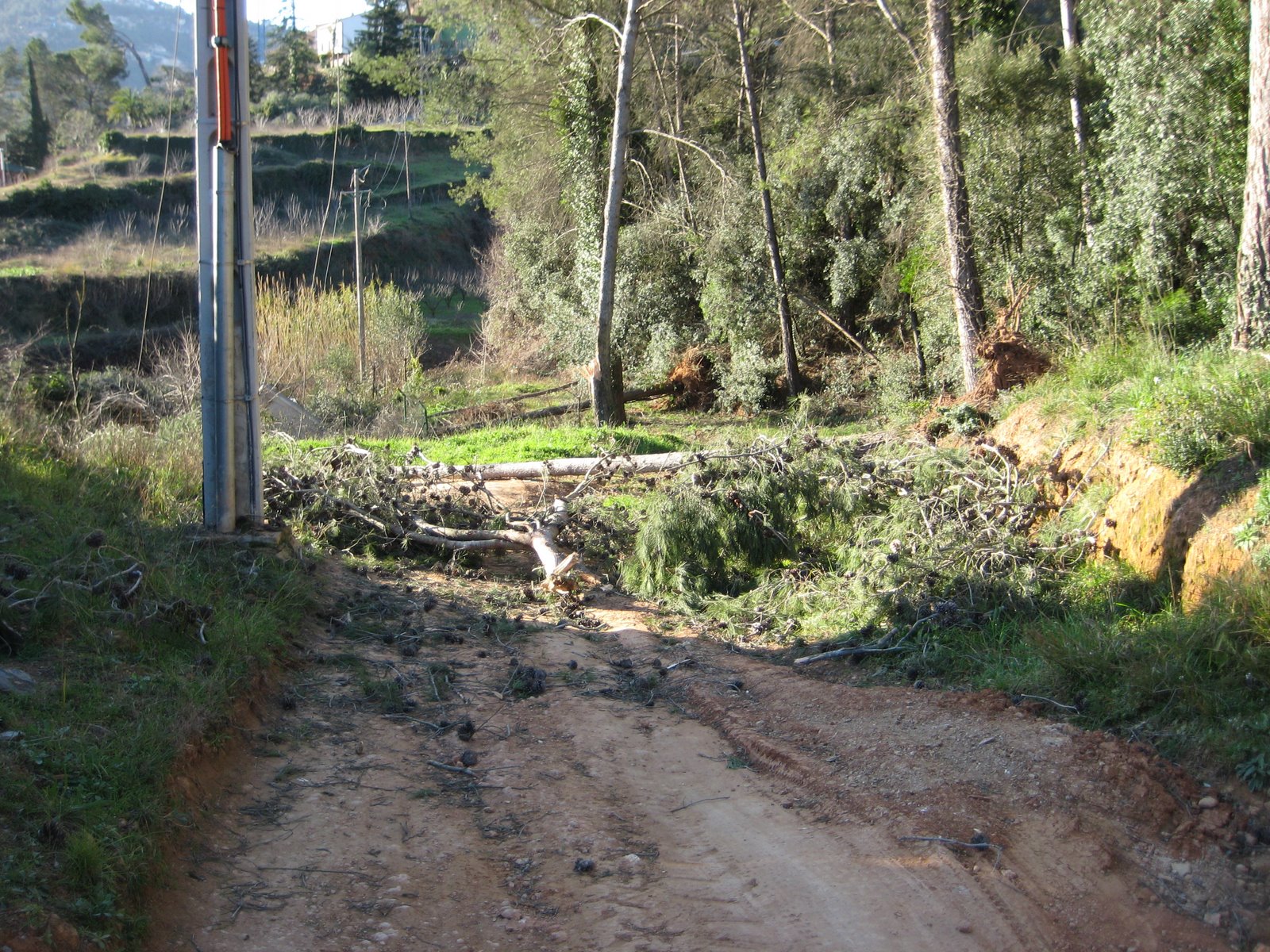 [2009_01_25+004.jpg]