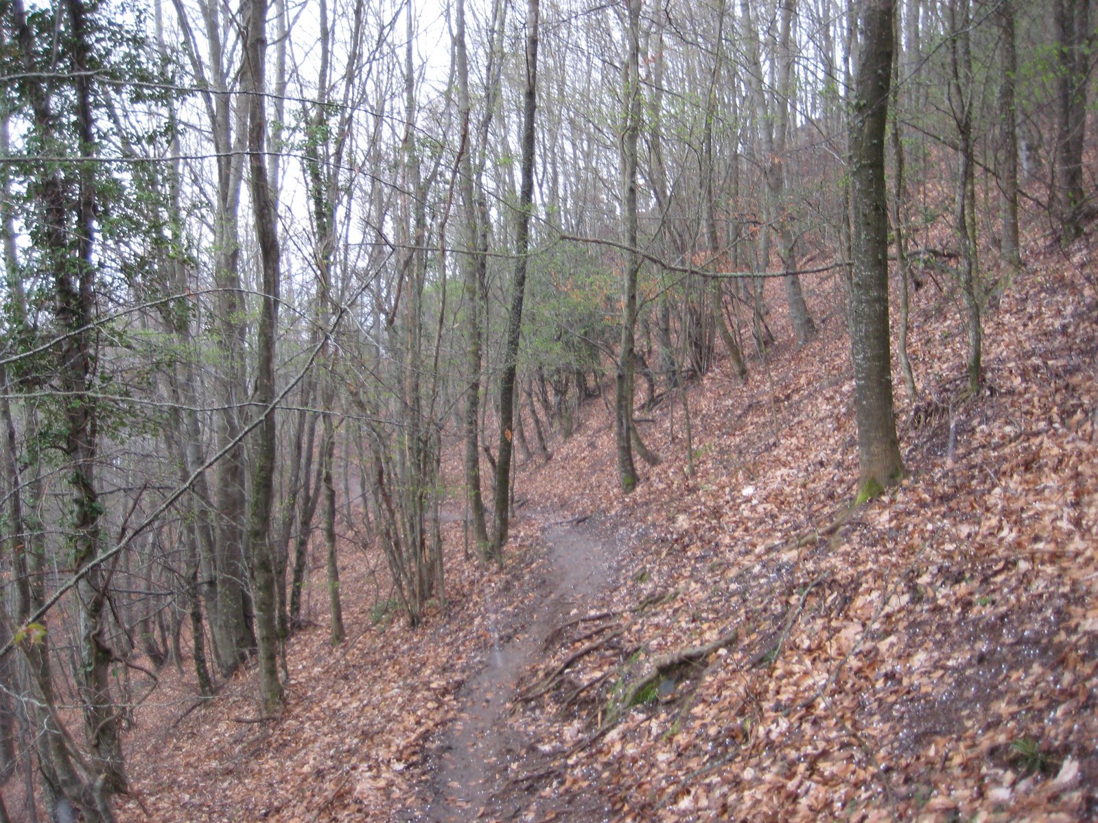 [IMG_0157.JPG]