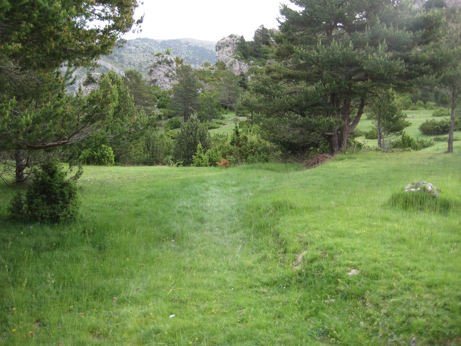 [IMG_0583.JPG]