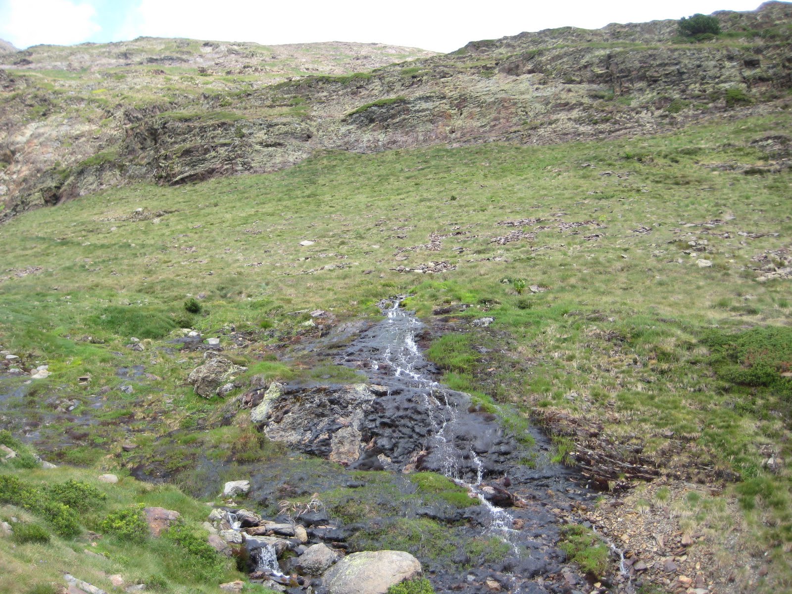 [IMG_0911.JPG]