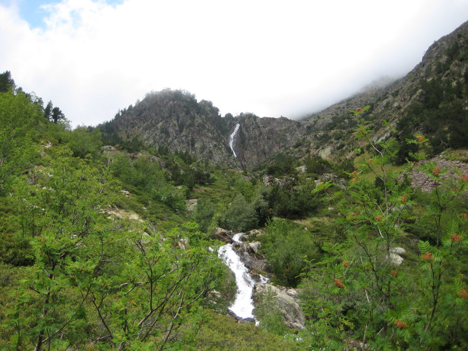 [IMG_0902.JPG]