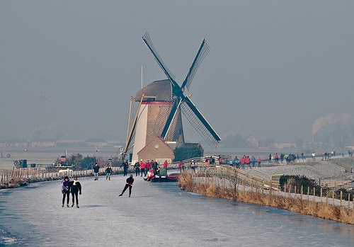 [3185174166_97f75b116e.jpg]