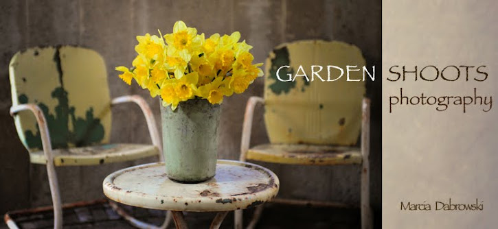 Garden Shoots Photography