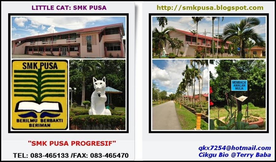 Little Cat: SMK Pusa, Betong.