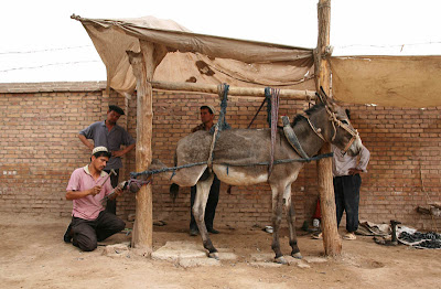 Kashgar Market