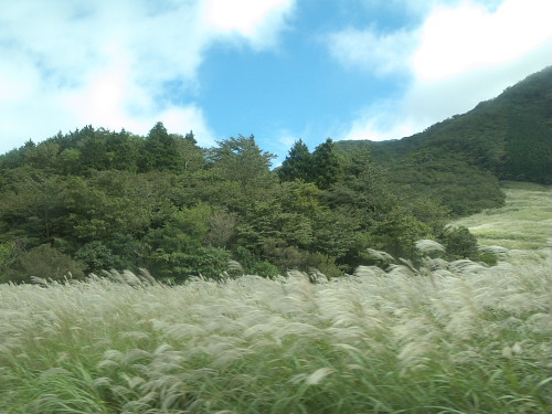 Hakone Botanical Garden of Wetlands