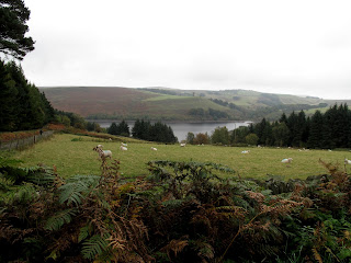 strines reservoir dale dike