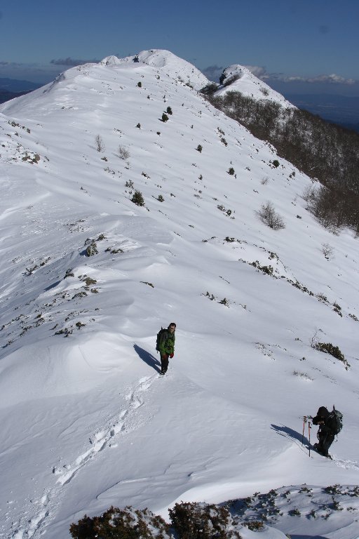 [IMG_5924-719859.JPG]