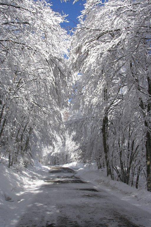 [IMG_5844-739890.JPG]