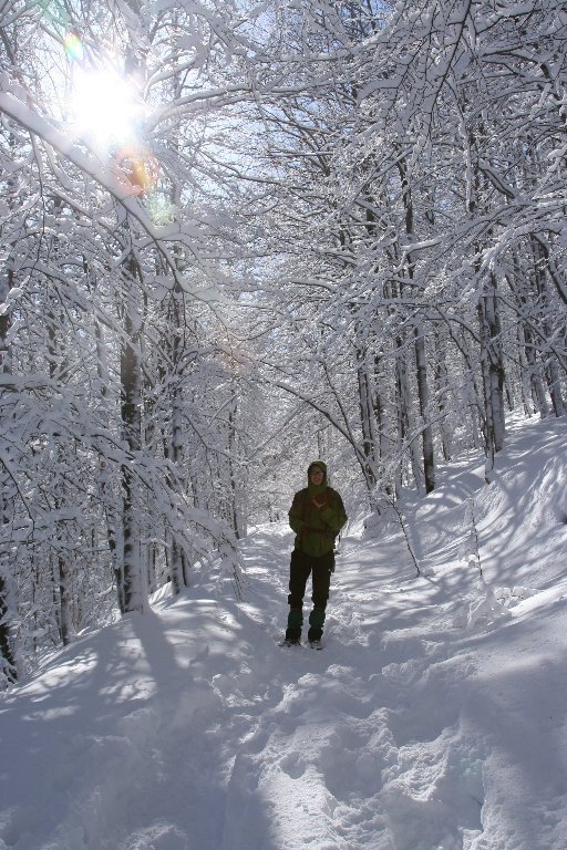 [IMG_5875-747477.JPG]