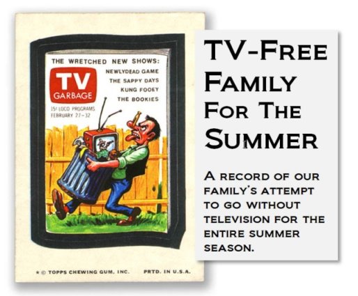 TV-Free Family for the Summer