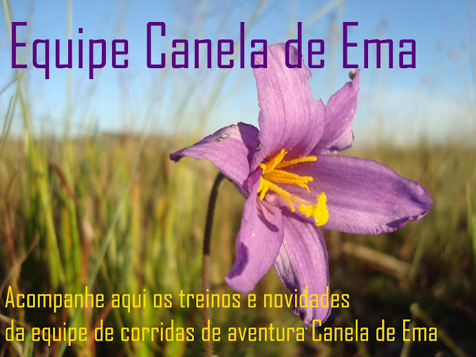 Equipe Canela de Ema
