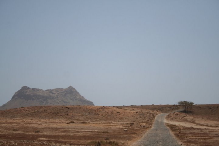 [IMG_0226.JPG]