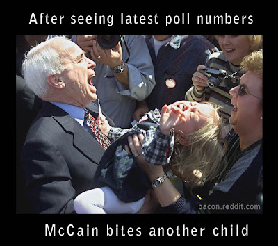McCain bites child