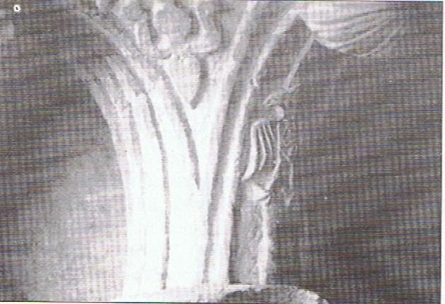 stemma di Federico II:giglio e aquila sveva , eretto dallo stesso a Casamari