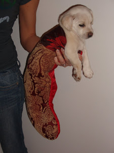 Christmas 2007