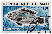 Connecting the World: A Jewel of West Africa