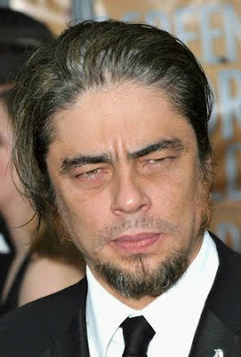 All New Celebrity: Benicio Del Toro Height