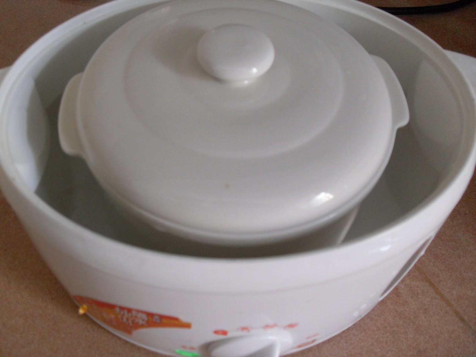 Double Boiled Bird Nest