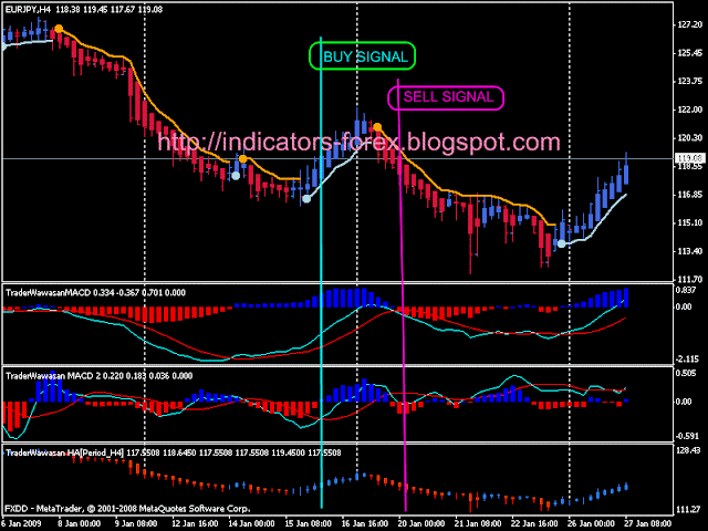 Trading indices vs forex