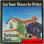 nathaniel best - set your house in order lp 1986