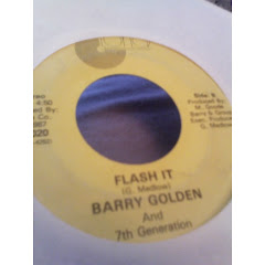 BARRY GOLDEN - flash it 198x