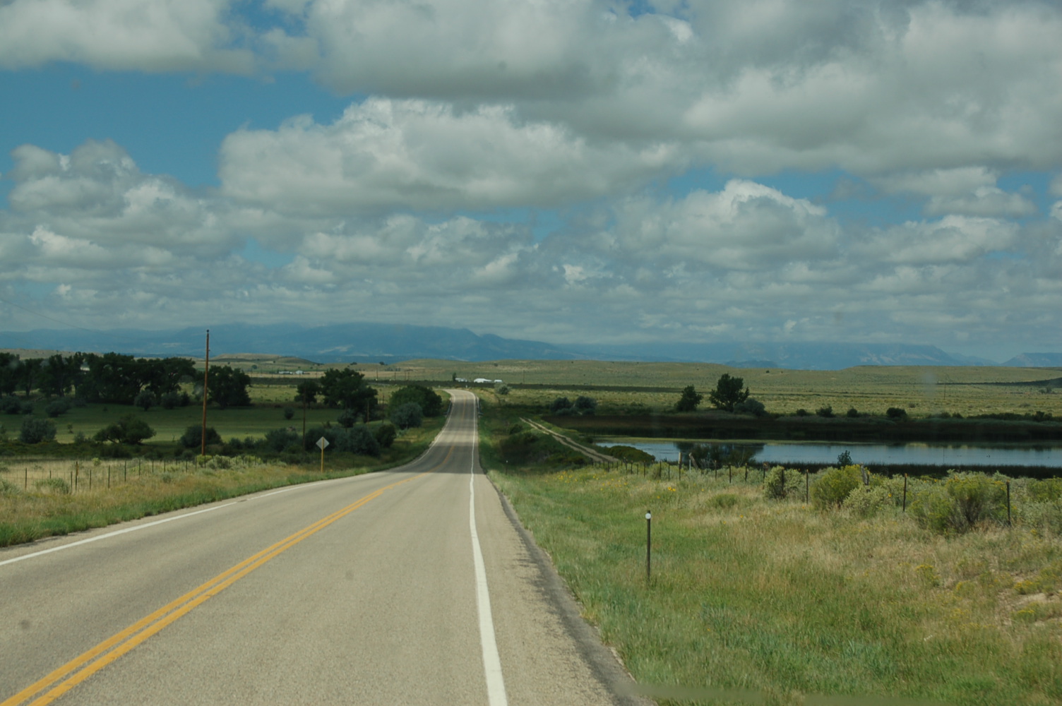 Dust Off the Butterfly From the Road