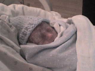 Landon James