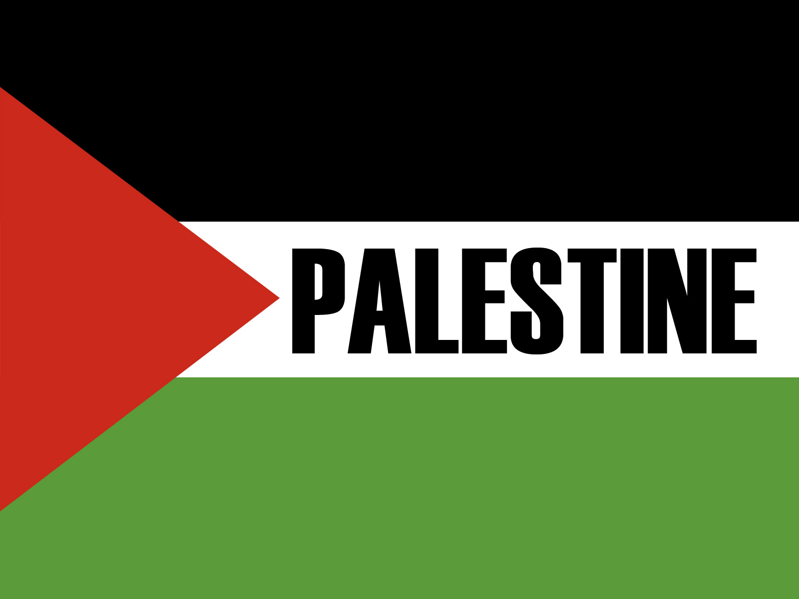 http://4.bp.blogspot.com/_UfvgLhu8Sr8/TAb4YZ_6l4I/AAAAAAAAAIM/-ecCPaKdQ5w/s1600/palestine_flag_wallpaper_by_zealousofpeace.jpg