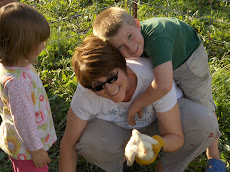 Raising chicks