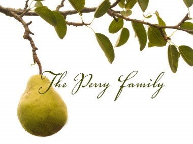 The Perry Family