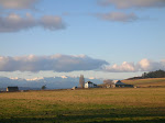 Willowood Farm of Ebey's Prairie