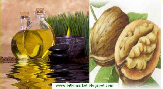 [CEVİZ+VE+CEVİZ+YAĞI.JPG]