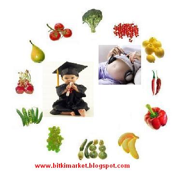 [BEBEĞİNİZİN+ZEKASINI+GELİŞTİRMEK+İÇİN.jpg]