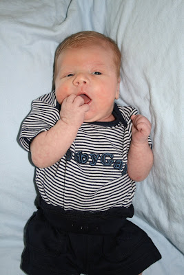 1 week old! ~ jenni from the blog