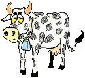 [cow.gif]