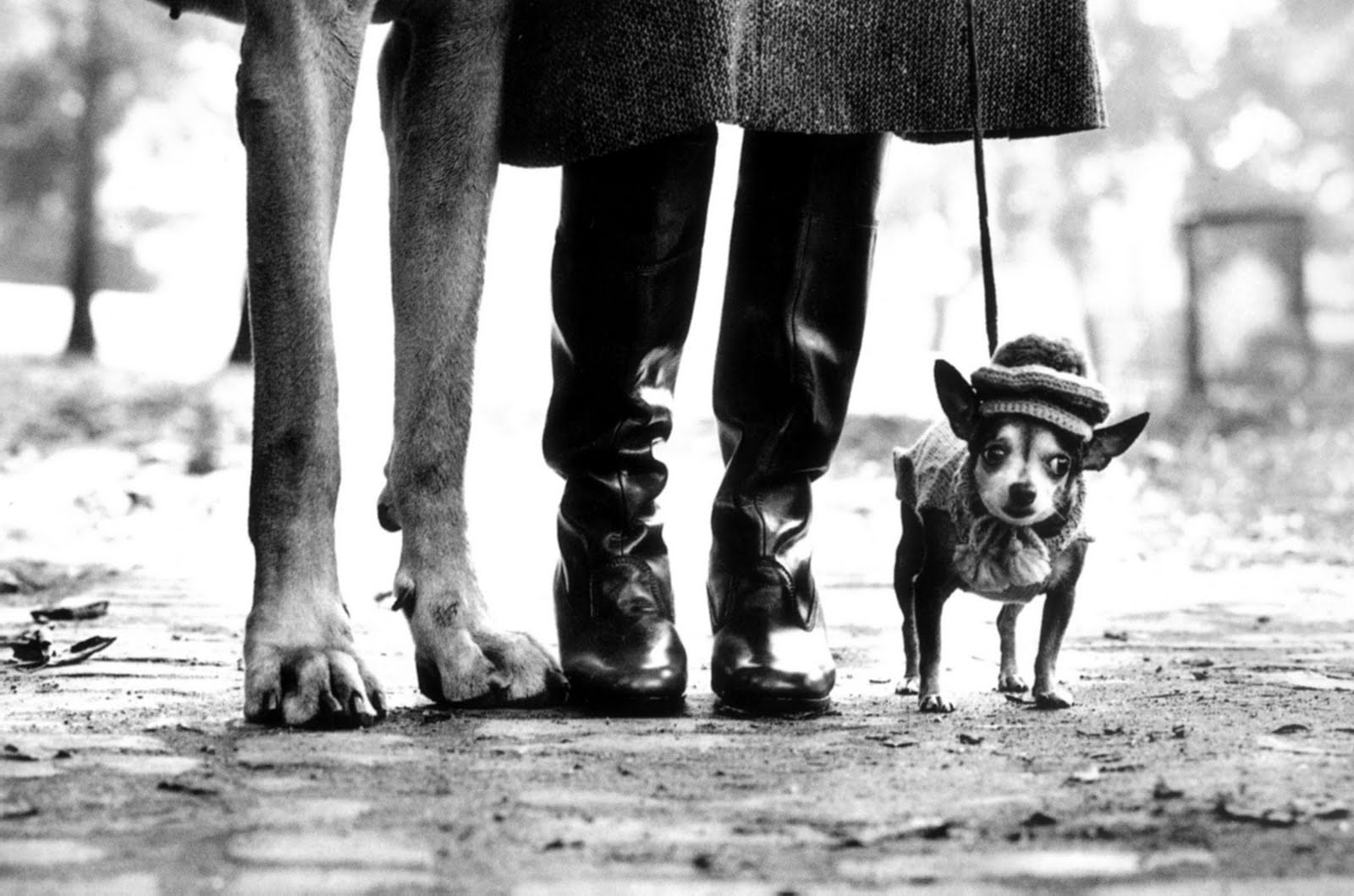 [elliot-erwitt1.jpg]
