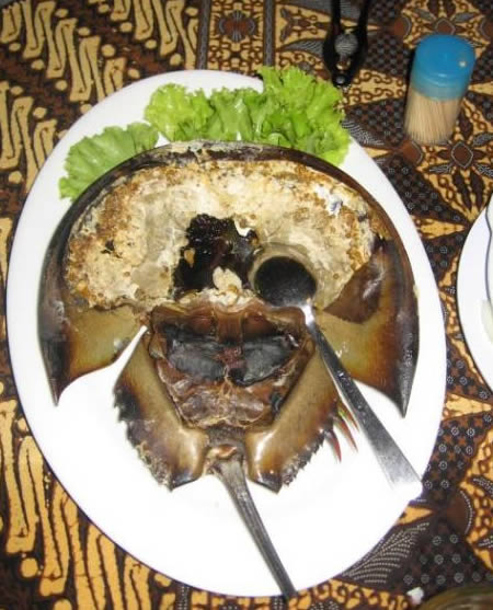 [strangest_foods_6.jpg]