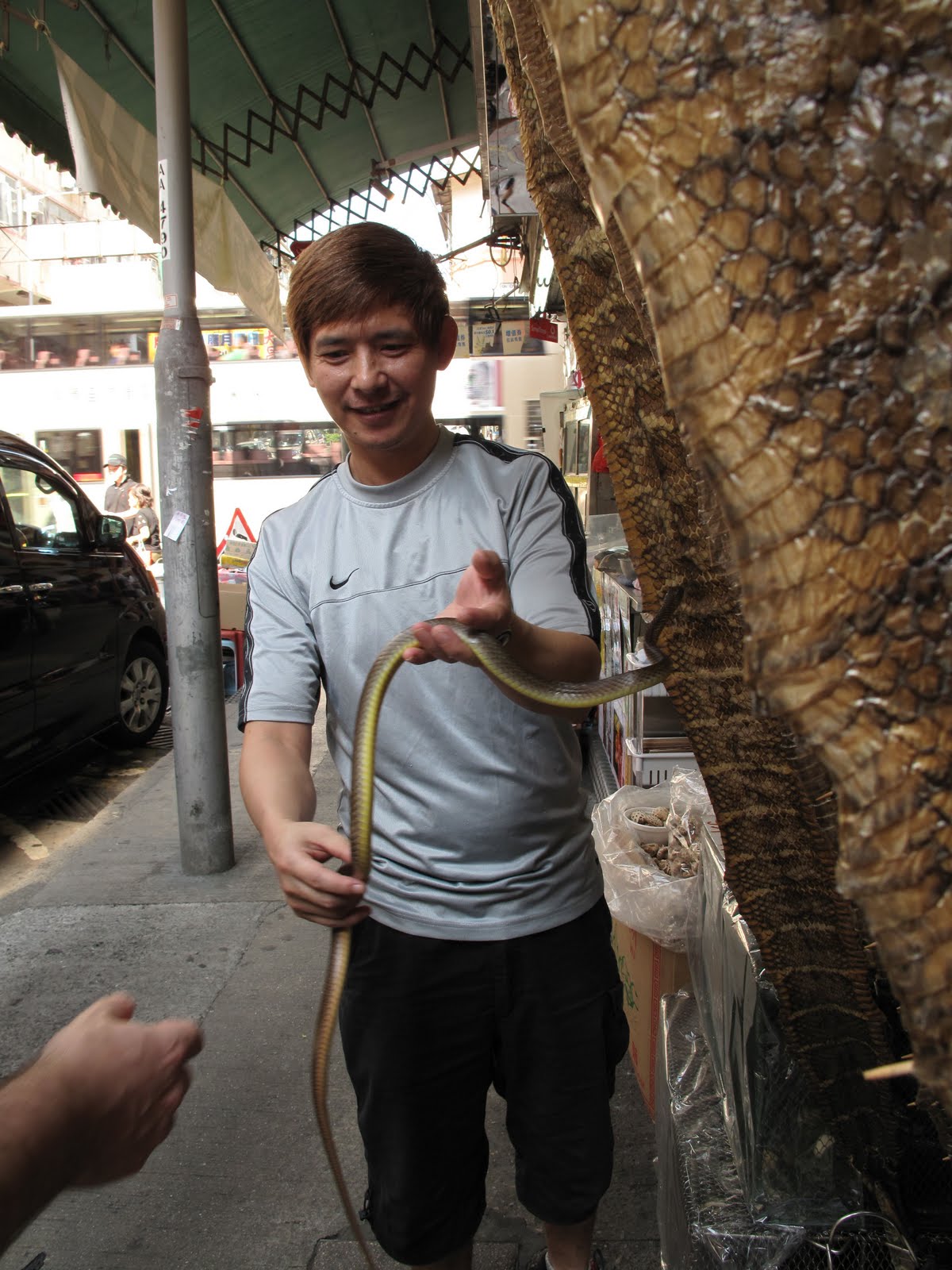 Handhorseman: My Favorite Snake Restaurant In Hong Kong