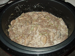 beef pressure ground cooker stroganoff dinner noodles egg served