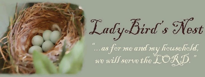 Lady Bird's Nest