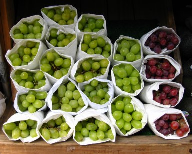 [uvas.jpg]
