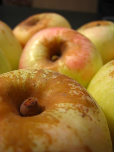 [Maçã_Bravo_Esmolfe.jpg]