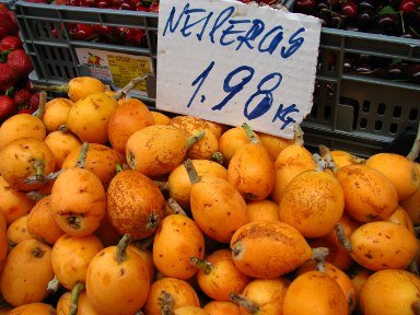 [Nesperas_Coimbra_3.jpg]